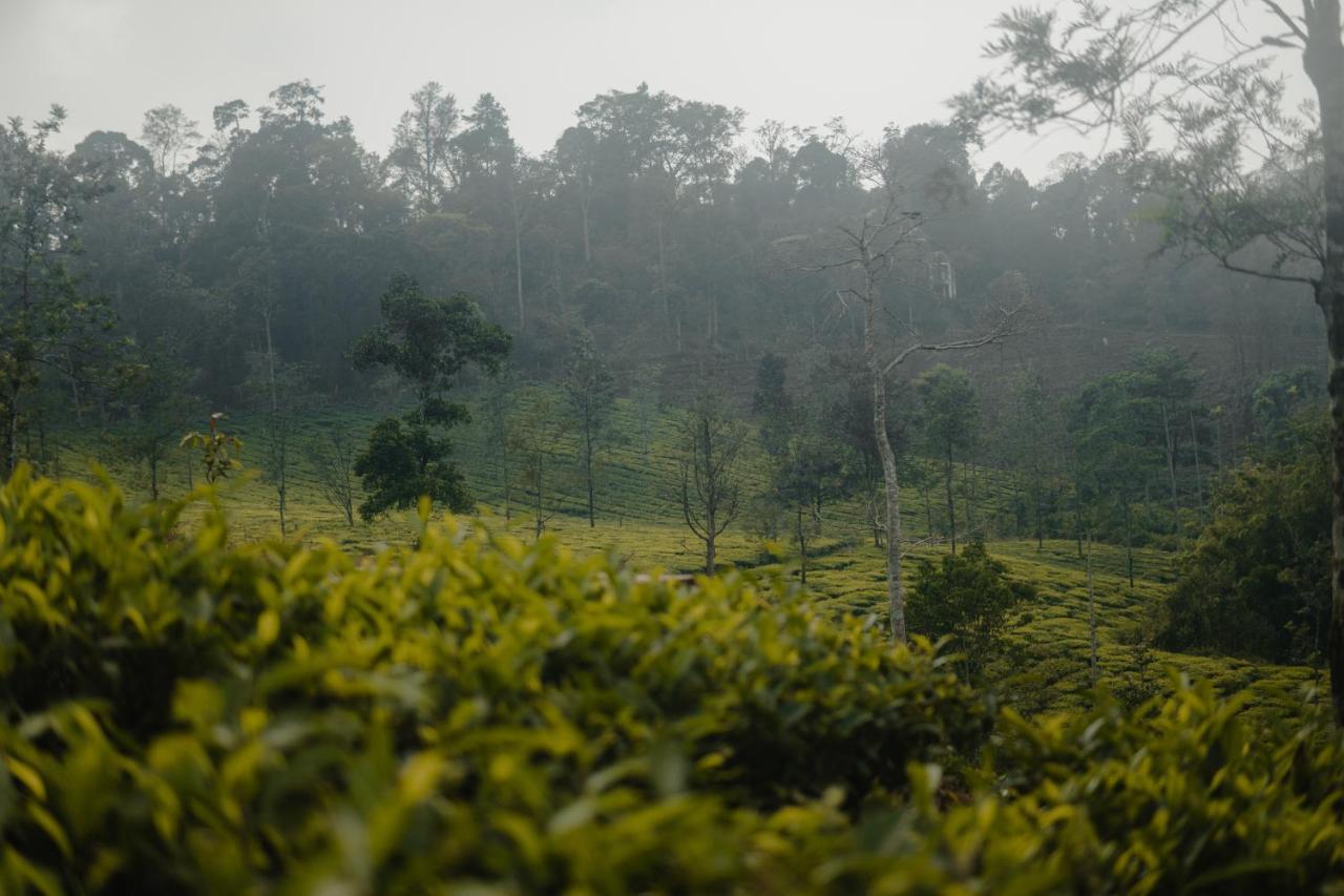 Abad Brookside Wayanad Vythiri Exterior foto