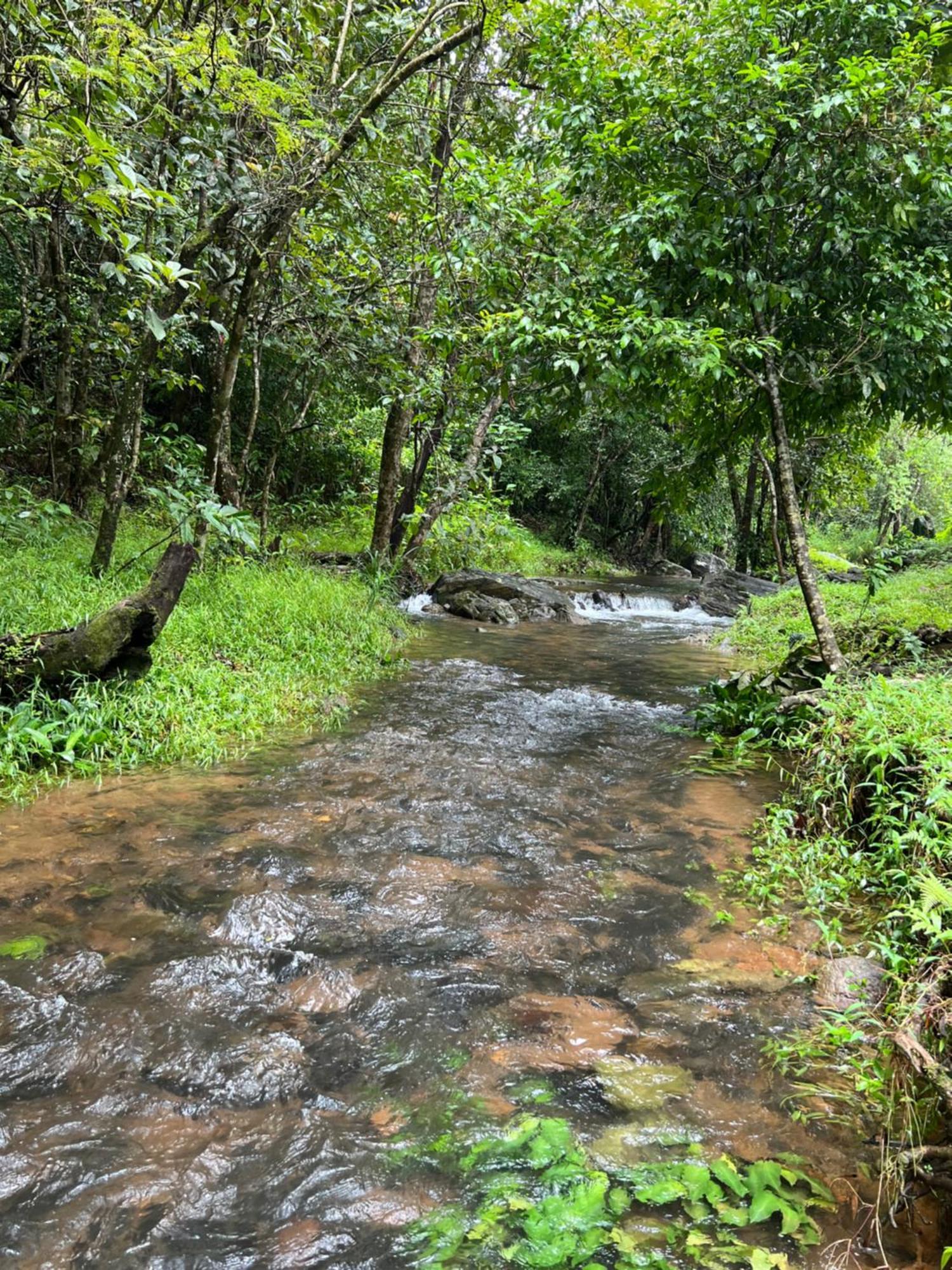Abad Brookside Wayanad Vythiri Exterior foto