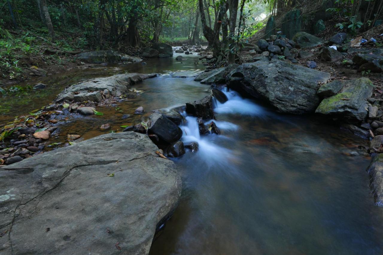 Abad Brookside Wayanad Vythiri Exterior foto