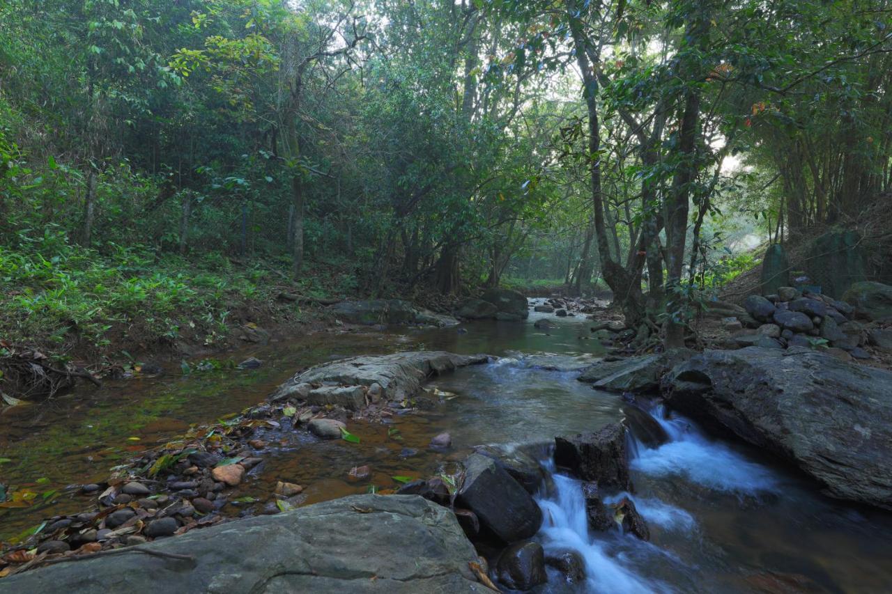 Abad Brookside Wayanad Vythiri Exterior foto